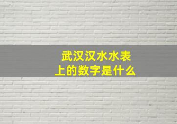 武汉汉水水表上的数字是什么