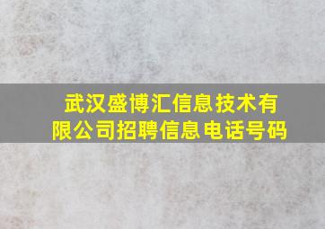 武汉盛博汇信息技术有限公司招聘信息电话号码