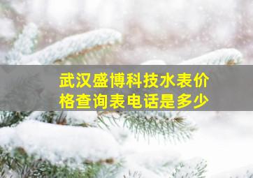 武汉盛博科技水表价格查询表电话是多少