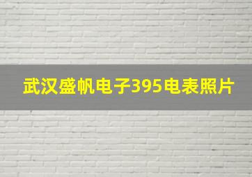 武汉盛帆电子395电表照片