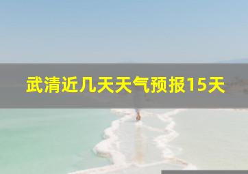 武清近几天天气预报15天