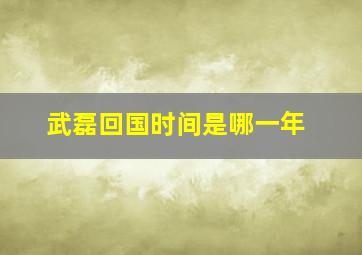 武磊回国时间是哪一年