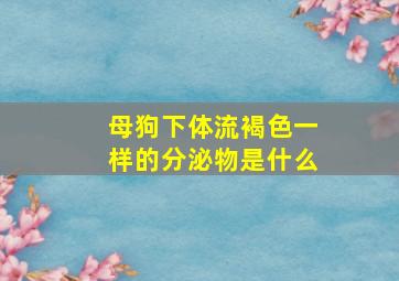 母狗下体流褐色一样的分泌物是什么