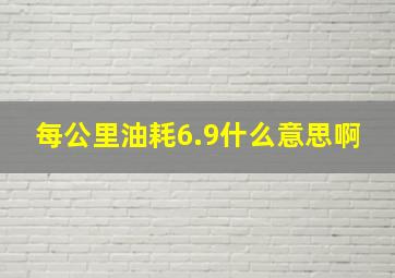 每公里油耗6.9什么意思啊