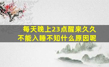 每天晚上23点醒来久久不能入睡不知什么原因呢