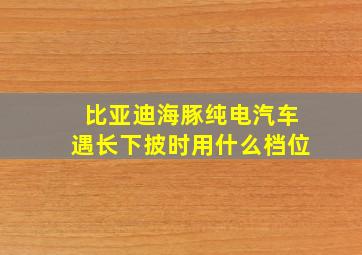 比亚迪海豚纯电汽车遇长下披时用什么档位