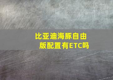 比亚迪海豚自由版配置有ETC吗