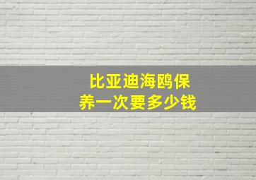 比亚迪海鸥保养一次要多少钱