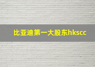 比亚迪第一大股东hkscc