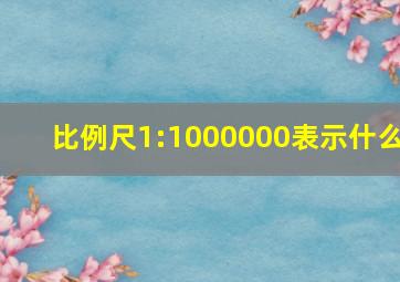 比例尺1:1000000表示什么