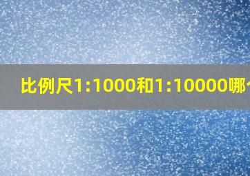 比例尺1:1000和1:10000哪个大