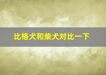 比格犬和柴犬对比一下