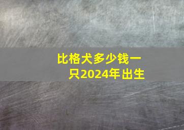 比格犬多少钱一只2024年出生