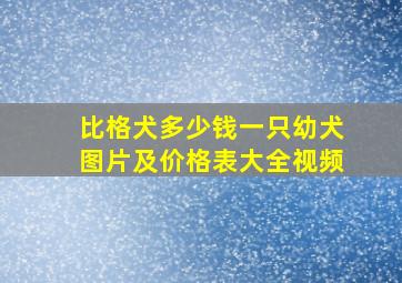 比格犬多少钱一只幼犬图片及价格表大全视频