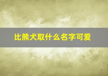 比熊犬取什么名字可爱