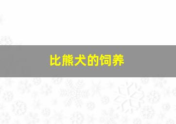 比熊犬的饲养