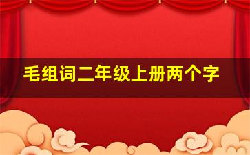 毛组词二年级上册两个字