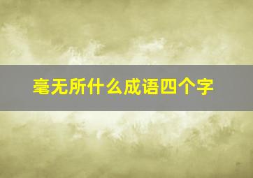 毫无所什么成语四个字