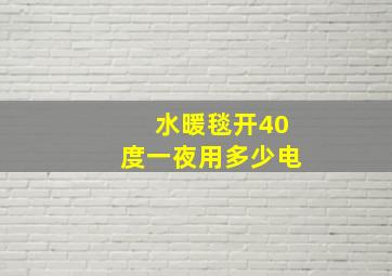 水暖毯开40度一夜用多少电