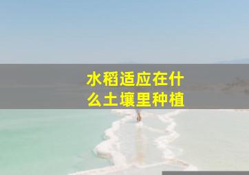 水稻适应在什么土壤里种植