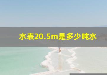 水表20.5m是多少吨水