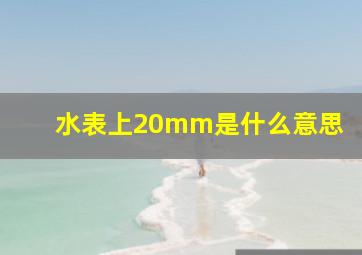 水表上20mm是什么意思