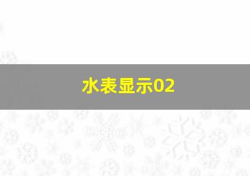 水表显示02