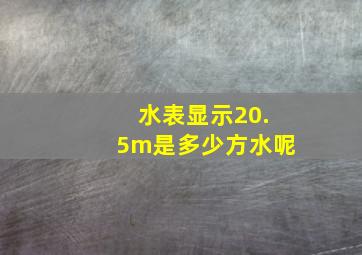 水表显示20.5m是多少方水呢