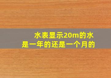 水表显示20m的水是一年的还是一个月的