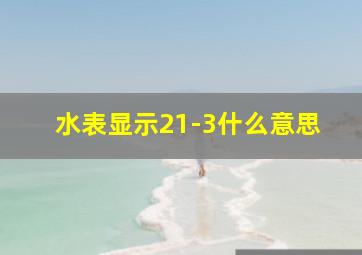 水表显示21-3什么意思