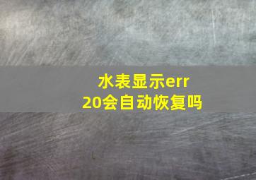 水表显示err20会自动恢复吗