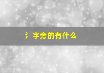 氵字旁的有什么