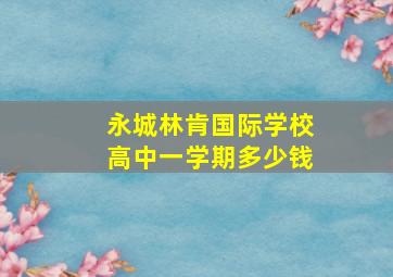 永城林肯国际学校高中一学期多少钱