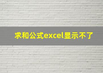 求和公式excel显示不了