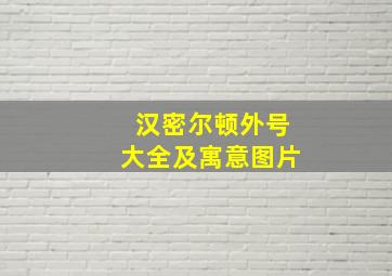 汉密尔顿外号大全及寓意图片