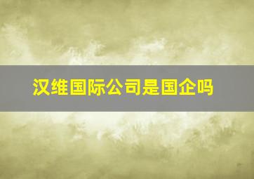 汉维国际公司是国企吗