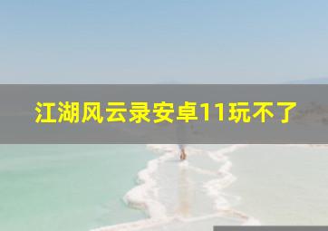 江湖风云录安卓11玩不了