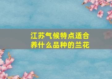 江苏气候特点适合养什么品种的兰花