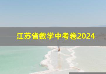 江苏省数学中考卷2024