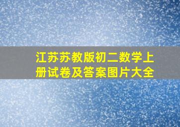 江苏苏教版初二数学上册试卷及答案图片大全