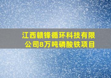 江西赣锋循环科技有限公司8万吨磷酸铁项目