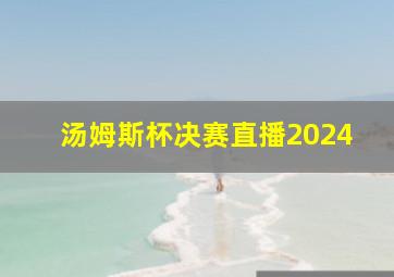 汤姆斯杯决赛直播2024