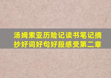 汤姆索亚历险记读书笔记摘抄好词好句好段感受第二章