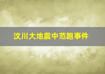 汶川大地震中范跑事件