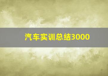 汽车实训总结3000