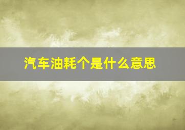 汽车油耗个是什么意思