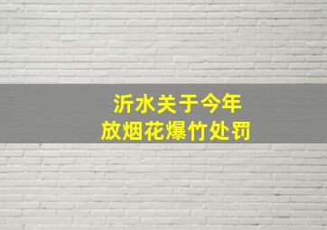 沂水关于今年放烟花爆竹处罚