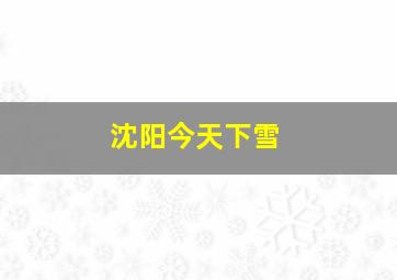 沈阳今天下雪