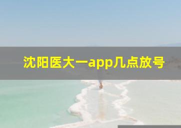 沈阳医大一app几点放号