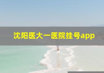 沈阳医大一医院挂号app